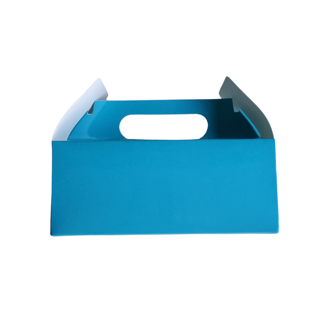 Plain Party Box Pack of 10 Blue