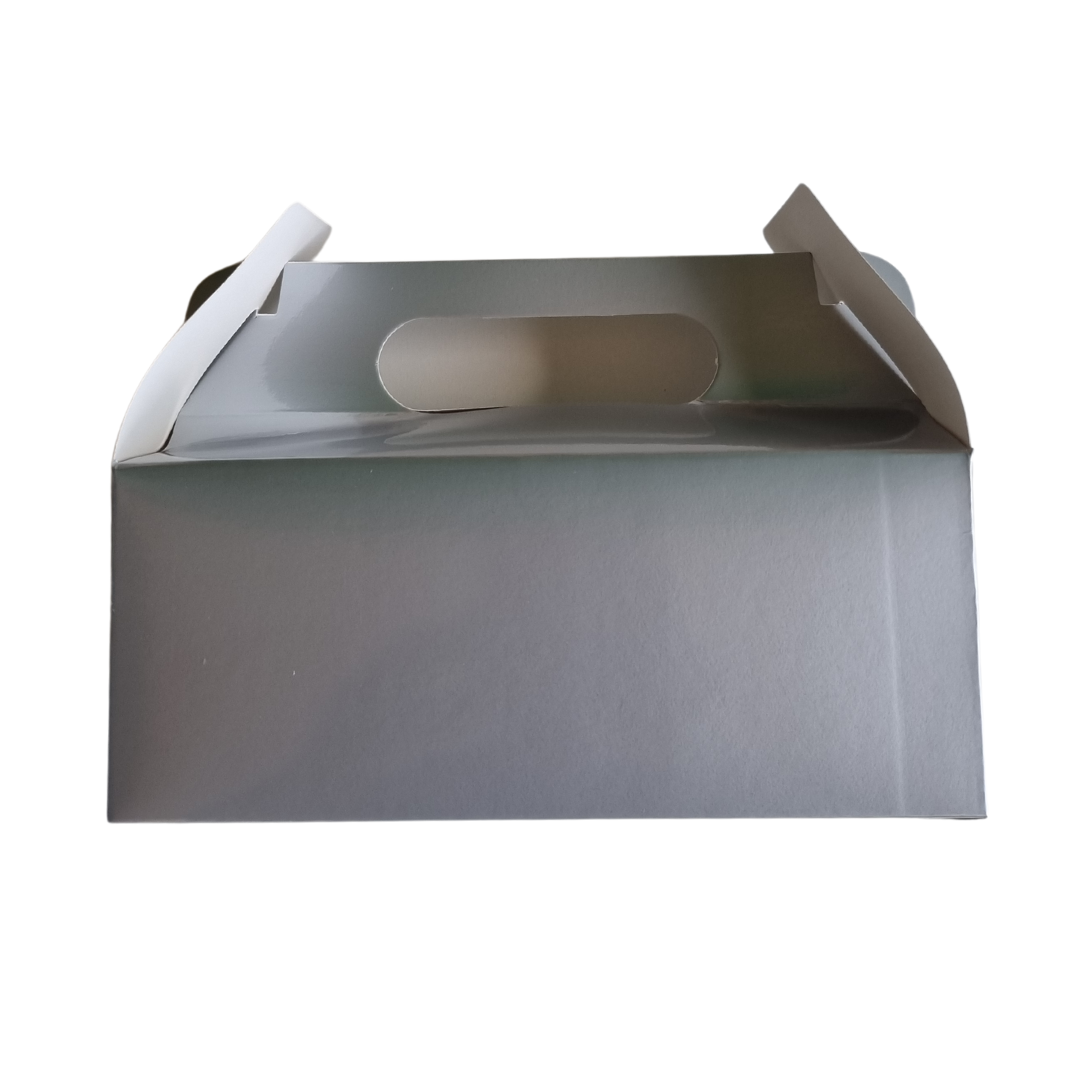 Plain Party Box Pack of 10 Silver