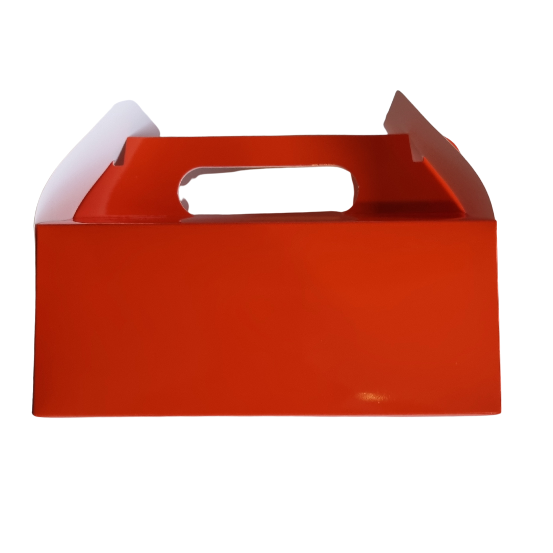 Plain Party Box Pack of 10 Orange