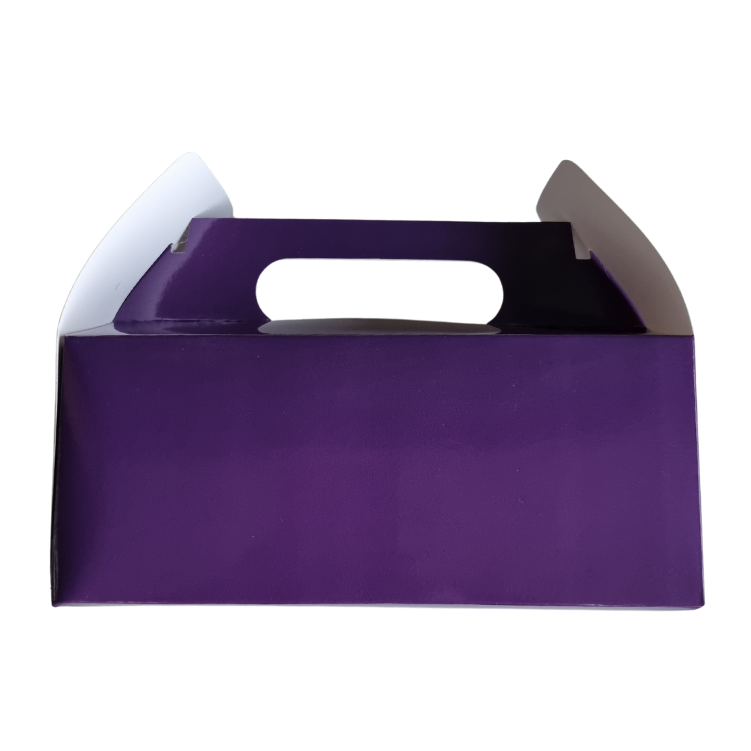 Plain Party Box Pack of 10 Purple