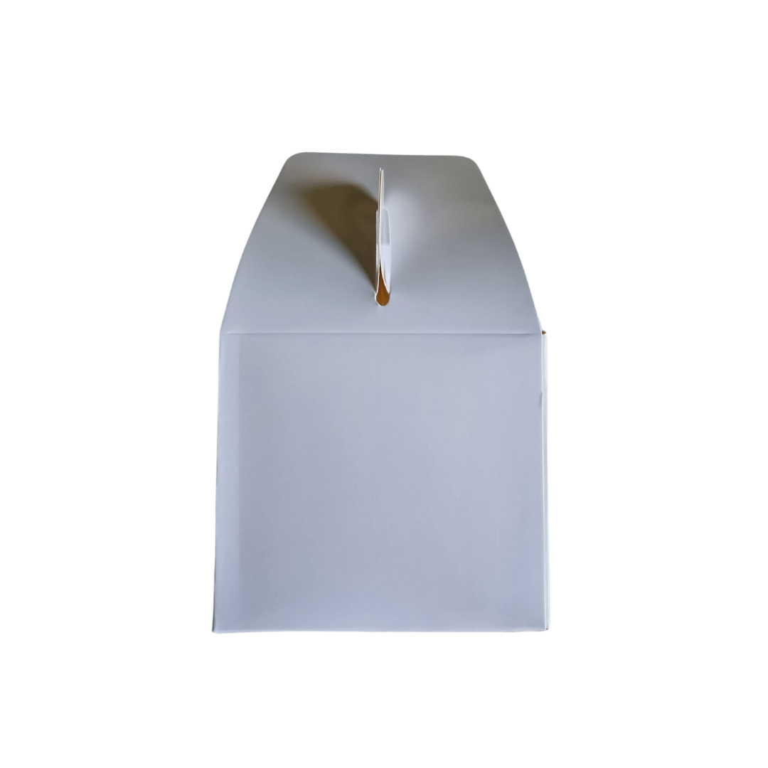 Plain Party Box Pack of 10 White