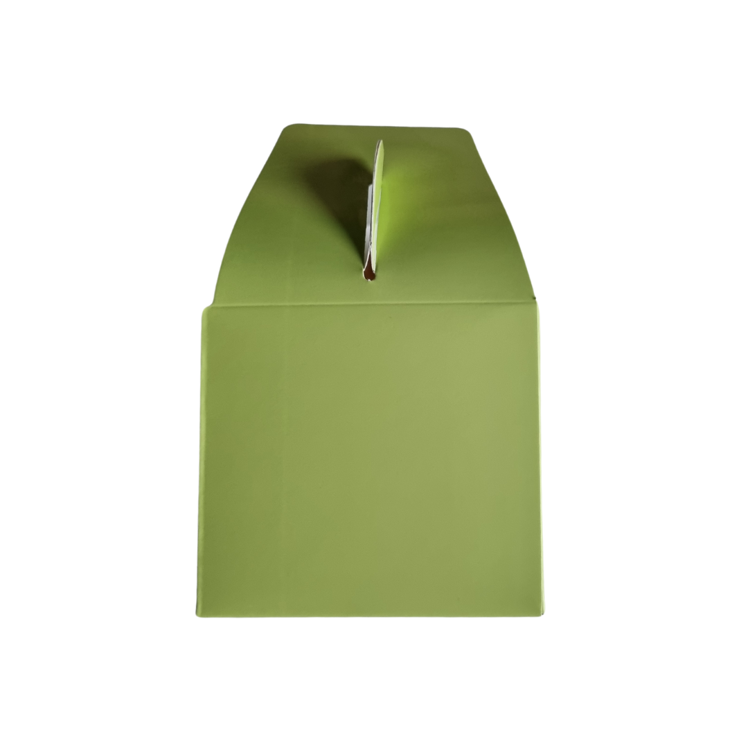 Plain Party Box Pack of 10 Lime Green