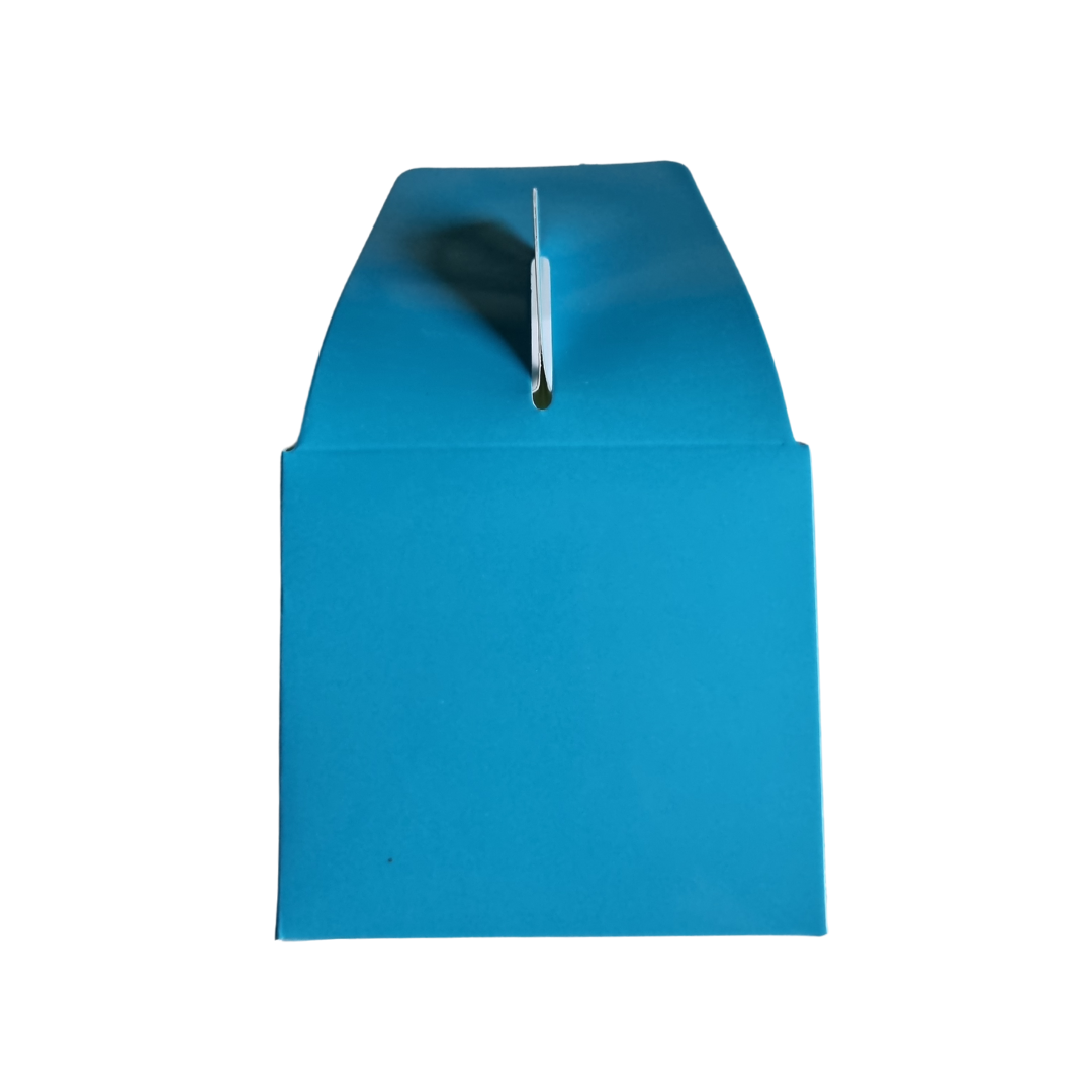 Plain Party Box Pack of 10 Blue