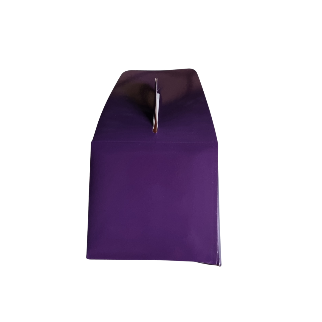 Plain Party Box Pack of 10 Purple