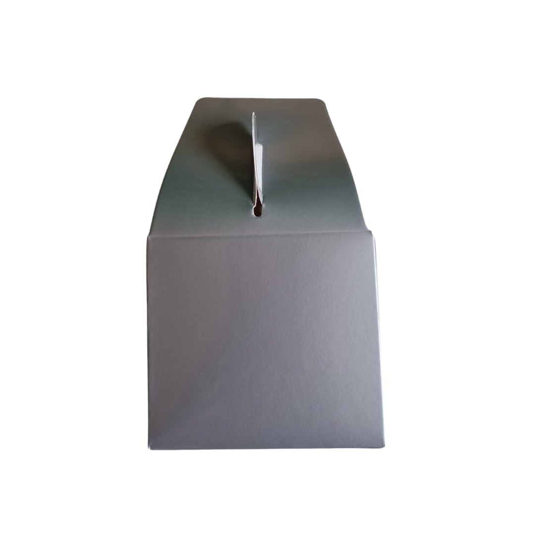 Plain Party Box Pack of 10 Silver