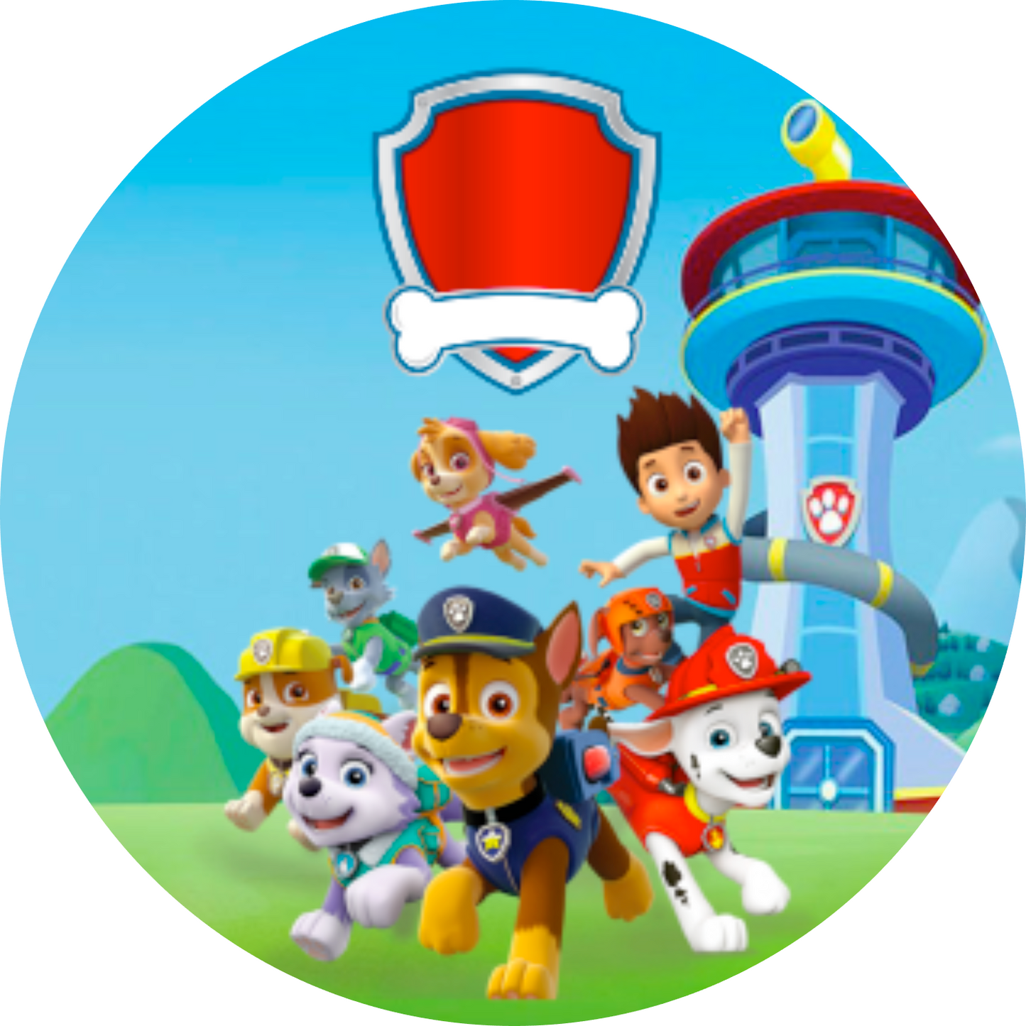 PAW PATROL PARTY DECOR, personalized kiddies birthday party themed decor party customized full print 2m in diameter